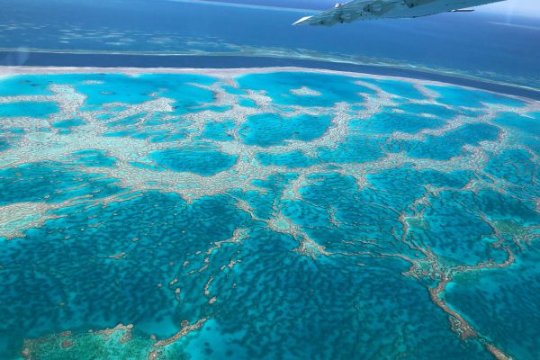 Survol en avion de la grande barriere de corail