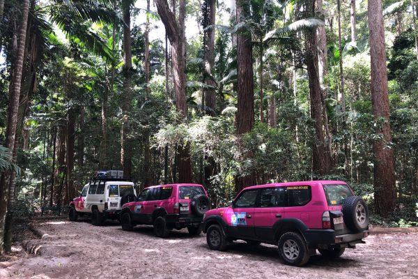 4x4 dans la fôret tropicale de Fraser Island, road trip Sydney Cairns