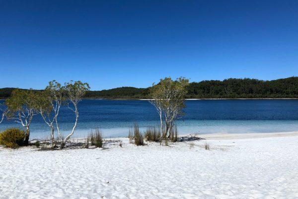 Lac Mackenzie à Fraser Island, road trip Sydney Cairns