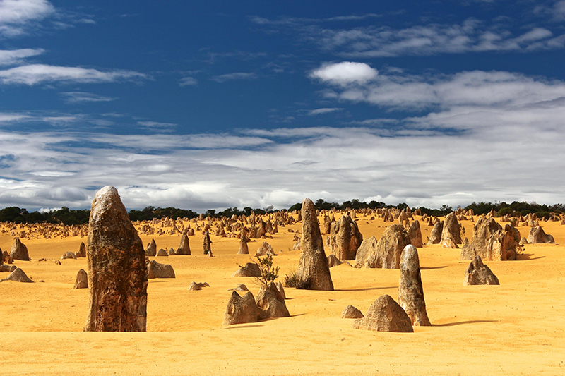 désert des Pinnacles en australie