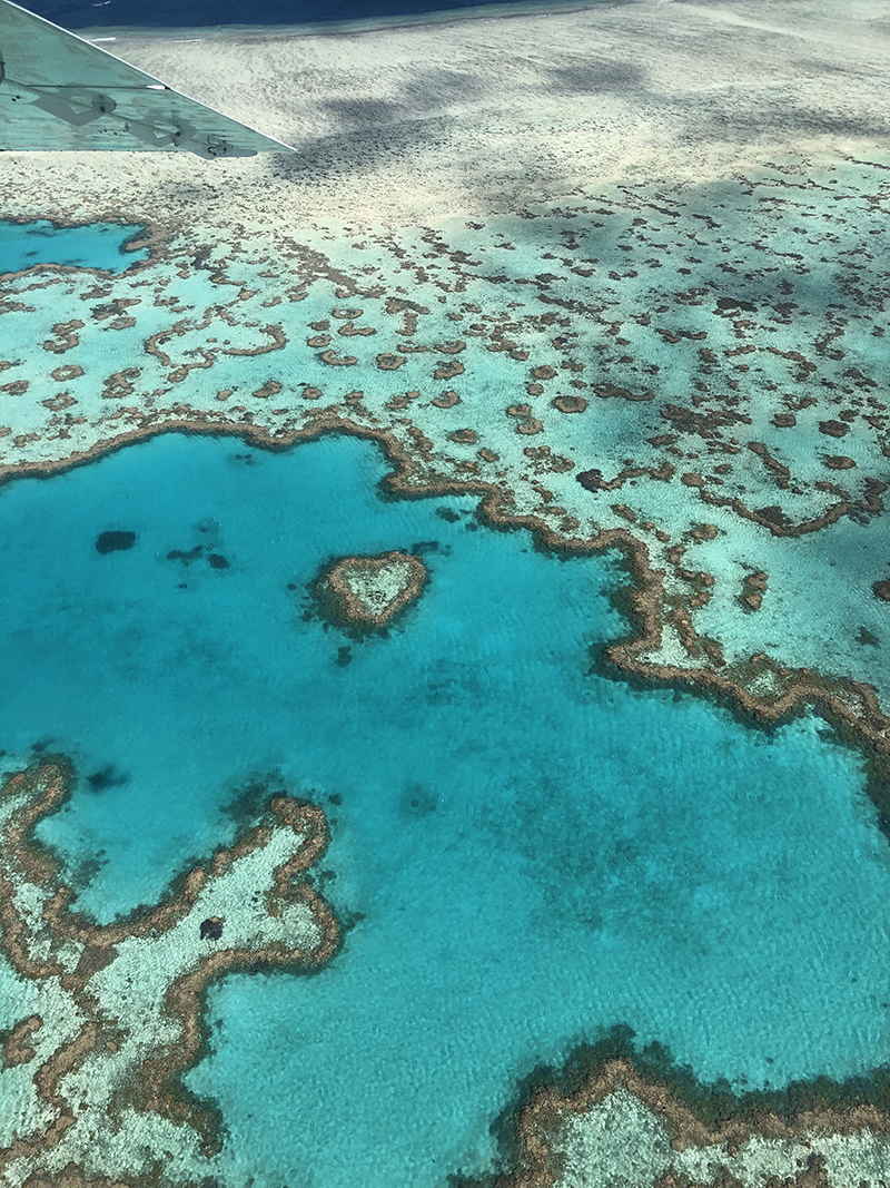 Survol de la grande barrière de corail, Côte Est en Australie